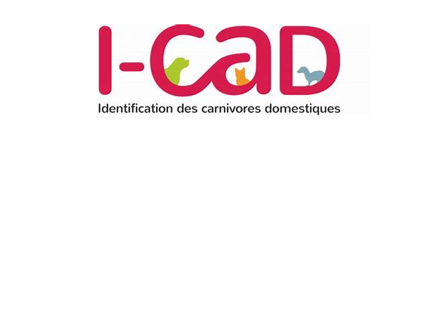 Services I-CAD